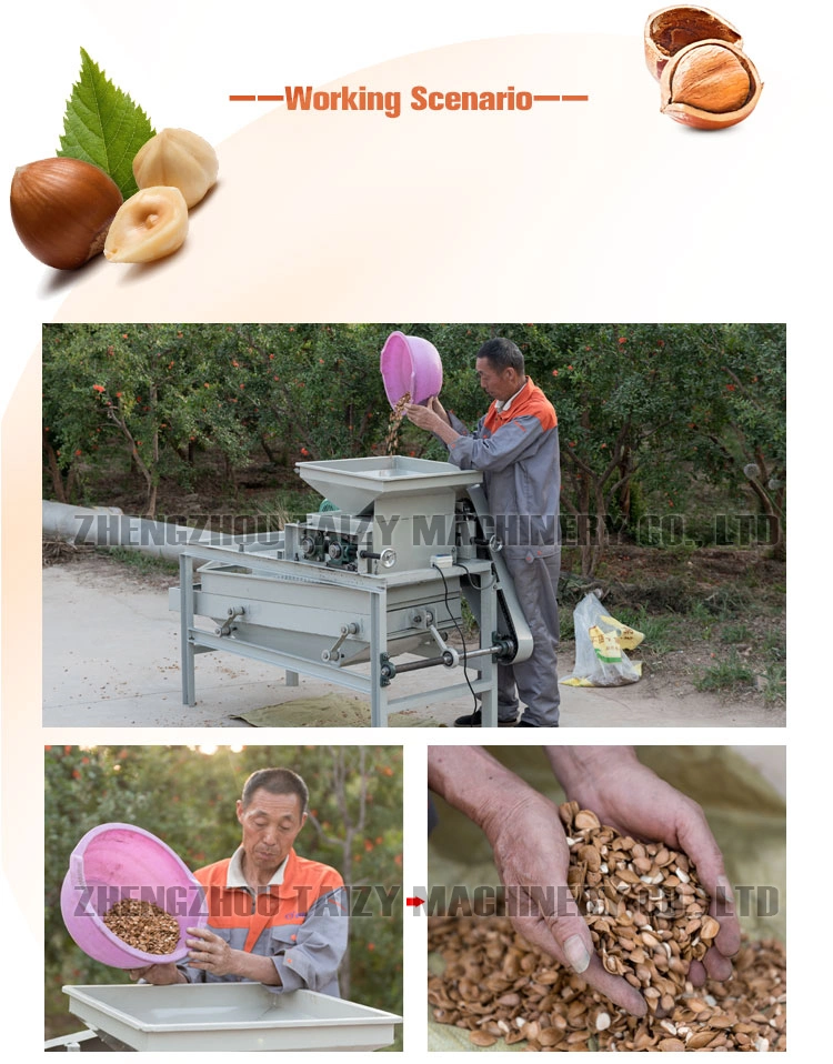 Automatic Cracker Sheller Walnut Nuts Pecan Almond Shelling Machine Pine Nut Cracking Machine