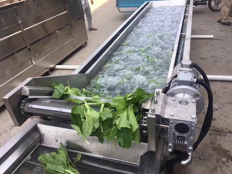 Vegetable Fruit Multifunctional Cleaner Washer