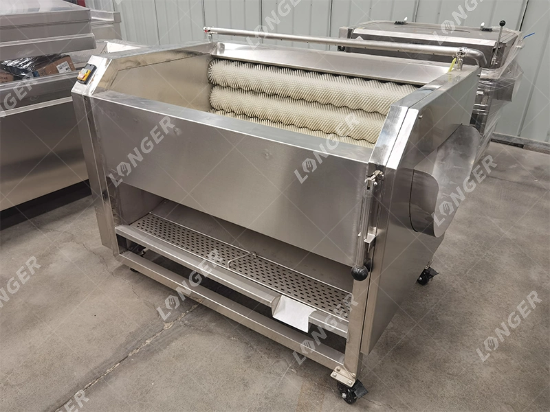 Automatic Vegetable Cassava Cleaning Peeling Seashells Fish Washer Machinery Fruit Lemon Carrot Brush Ginger Washing Machine