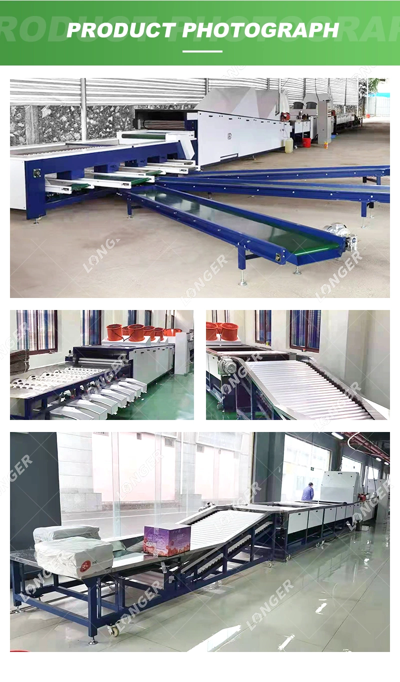 Commercial Apple Washing Sorting Machine Fruit Washing Sorting and Grading Machines