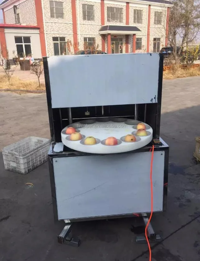 Fruit Pitting Machine Apple Begonia Loquat Fruit Date Seed Removing Machine