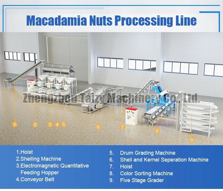 Walnut Cracking Machine Almonds Husking Machine Macadamia Nut Processing Machine
