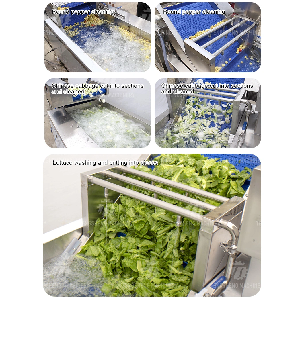Kitchen Appliance Ozone Bubble Vegetable Washing Machine Fruit Washer Ts-X200