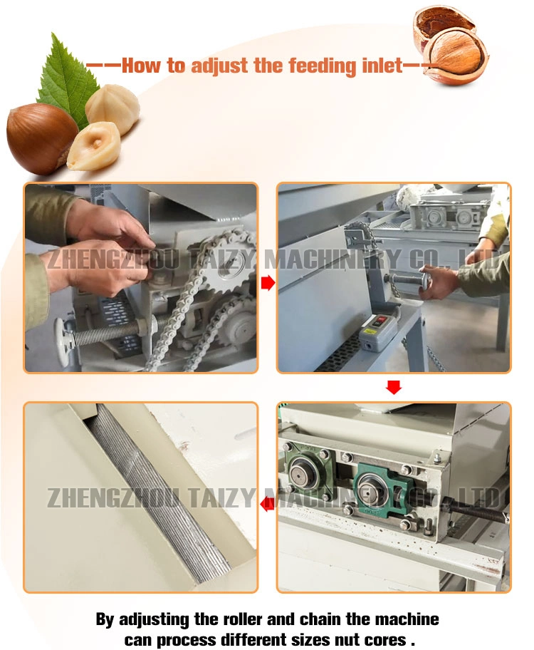 Hot Sale Walnut Nuts Pecan Almond Shelling Machine Pine Nut Palm Cracking Machine
