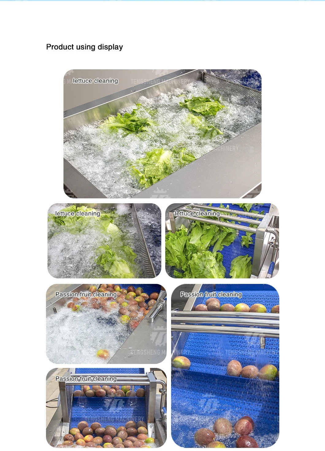 Kitchen Appliance Ozone Bubble Vegetable Washing Machine Fruit Washer Ts-X200
