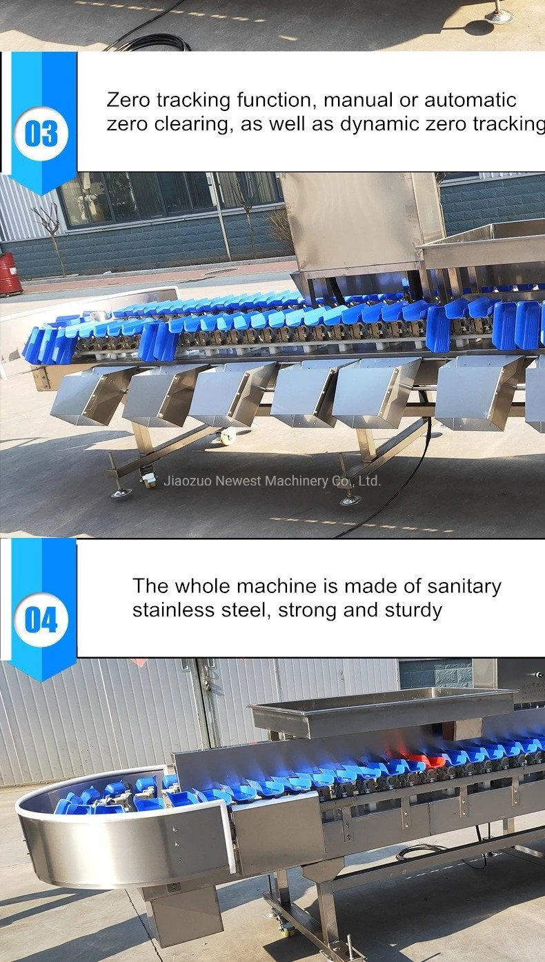 Automatic Fruit Vegetable Seafood Weight Sorting Machine