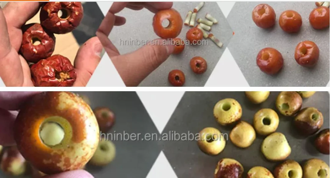 Fruit Pitting Machine Apple Begonia Loquat Fruit Date Seed Removing Machine