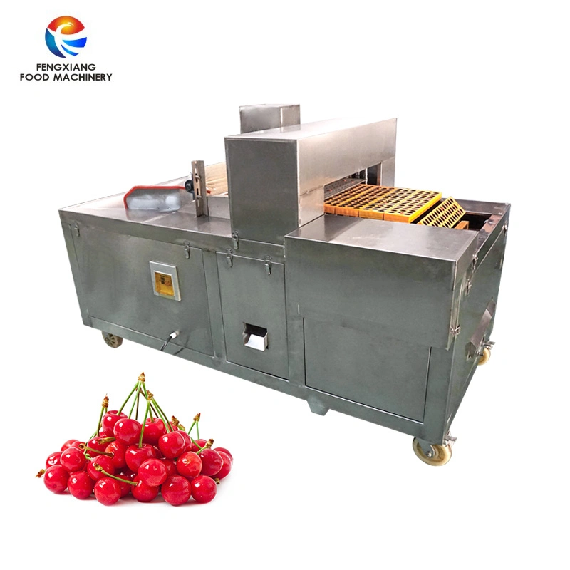 Commercial Automatic Cherry Pitting Machine Fruit Destoner Machine