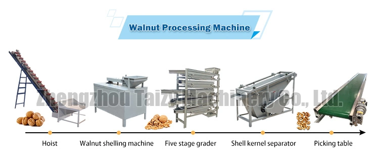 Commercial Macadamia Nut Walnut Grading Cracking Machine Nuts Processing Machines