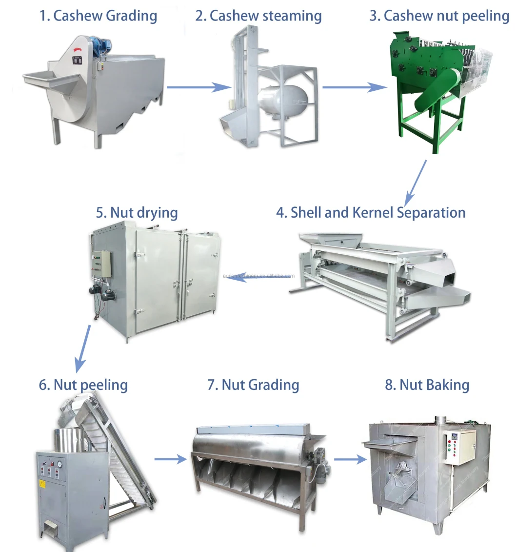 Electric Cashew Nut Grader Cracker Sorter Roaster Peeler Machine Cashew Nut Production Line Raw Cashew Nut Processing Machine