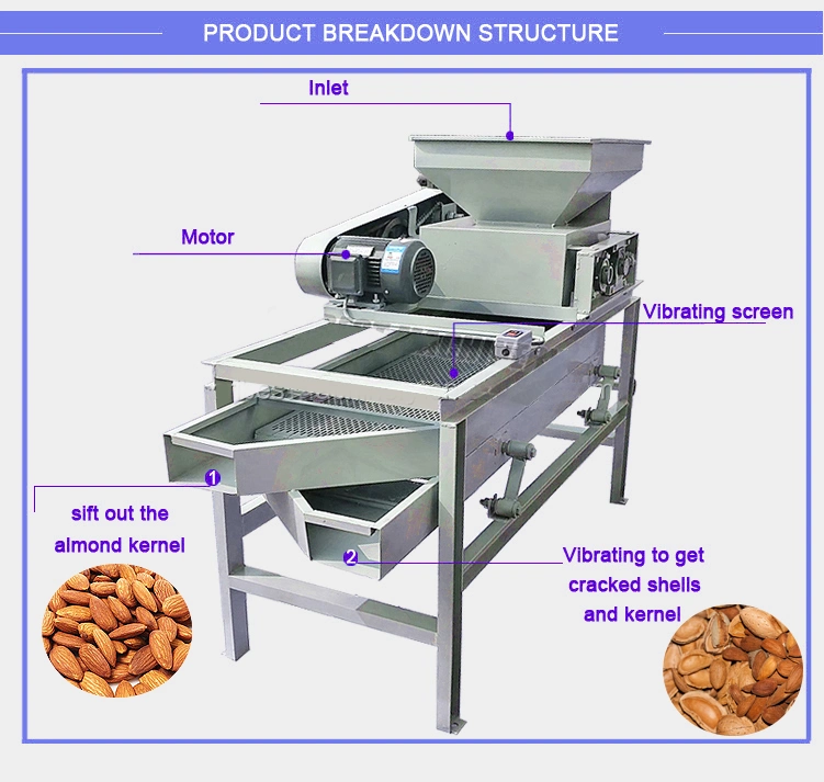 High Efficiency Nuts Hazelnut Sheller Cracker Almond Apricot Cracking Shelling Machine