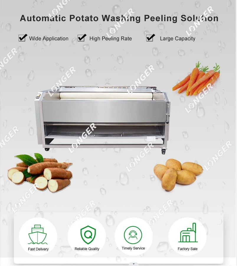 Brush Washing Machine Vegetable and Fruit Peeling Machine Potato Washer