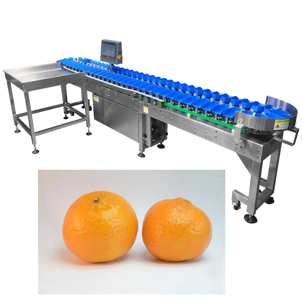 Ty-Jyh103p85-01-12 Fruit Accurate Weight Grading Machine