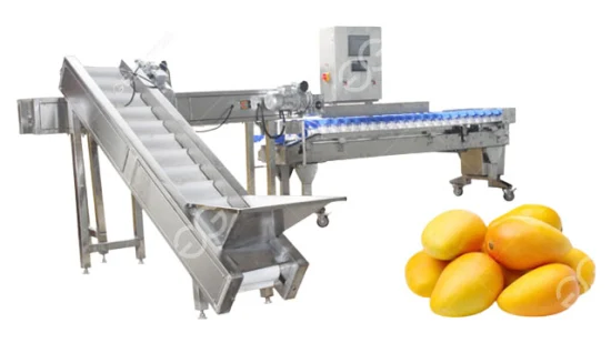 Máquina de classificação de frutas de aço inoxidável, maçã, laranja, abacate, pêra, máquina de classificação de alimentos, peso, máquina de classificação de frutas