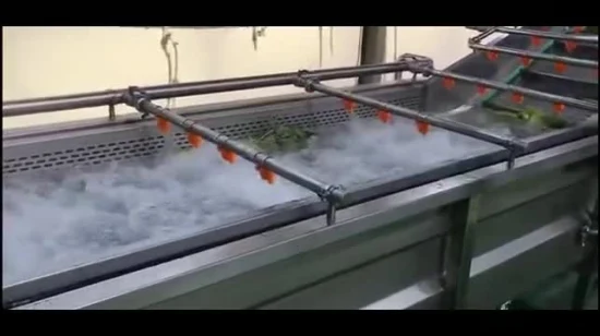 Lavadora de bolhas de legumes frutas laranja maçã