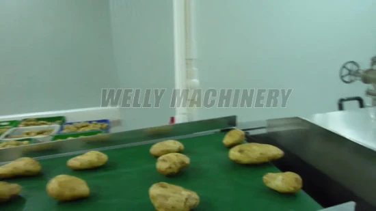 Máquina de processamento de remoção de núcleo de ameixa de damasco de frutas chinesas