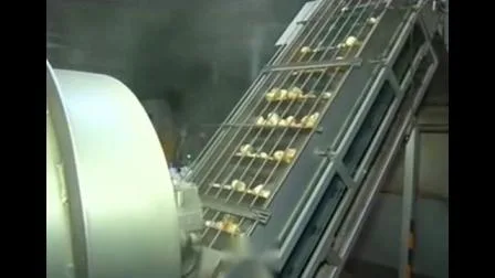 Linhas de processamento de máquinas de batatas fritas Linha de produção de batatas fritas de 100 kg
