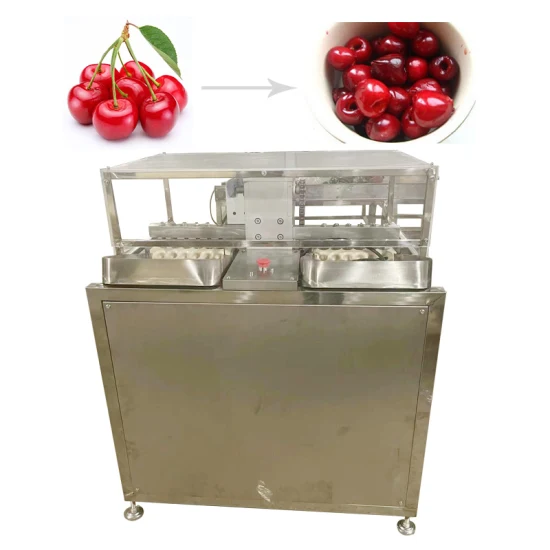 Máquina de descaroçamento automática Litchi Plum Cherry Jujube Bayberry Pitter, máquina de descaroçamento de frutas Bayberry removedor de pedra núcleo máquina removedora de caroço de cereja