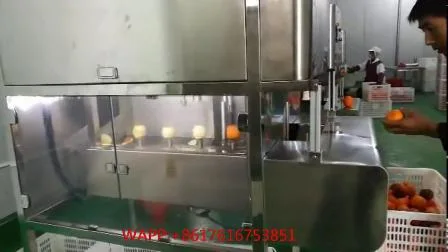 Descascador de frutas desnuclearizador removedor de núcleo máquina de remoção de caroço de frutas