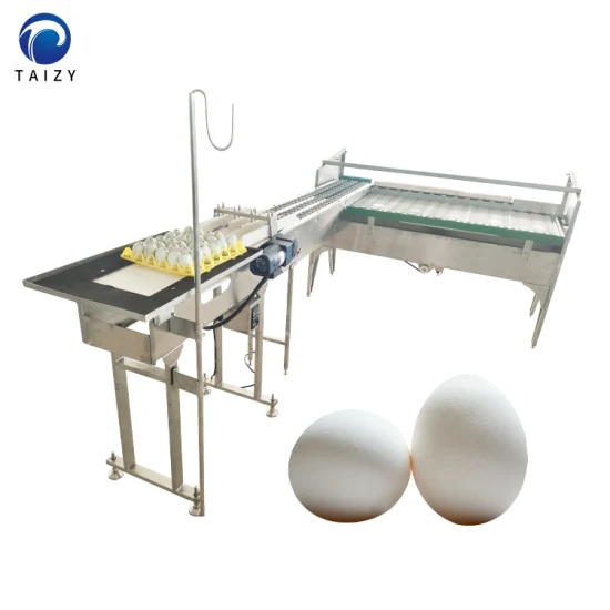Máquina de classificação de ovos de qualidade Levantador de ovos a vácuo Classificador de escala de ovos Classificador Máquina de ovulação de ovos