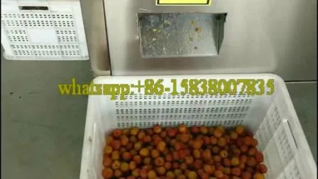 Máquina automática de descaroçar ameixas de alta capacidade/Máquina de descaroçar cerejas/Máquina de descaroçar frutas