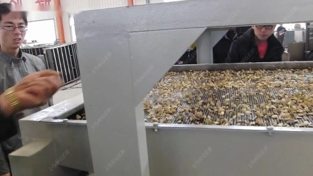 Descascador de Sementes Descascador de Pinhão do Paquistão Industrial Separador de Sementes de Girassol Máquina de Remoção de Cascas