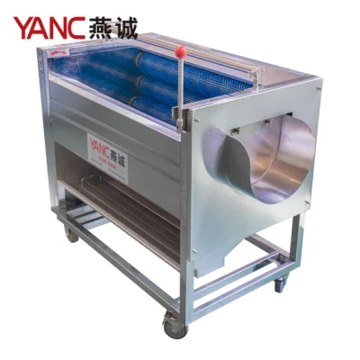 Yc-X1000-7 Máquina de limpeza e descascamento de vegetais de raiz de batata Yc-X1000-7