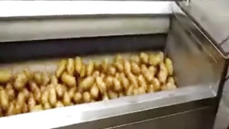 Máquina de fazer batatas fritas Máquina de fazer batatas fritas Linha de produção de batatas fritas