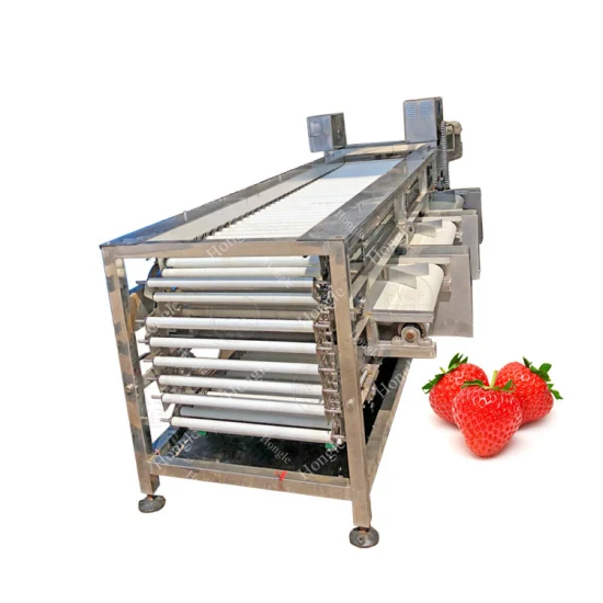 Preço de fábrica comercial automática Longan Lychee Corer classificador de tomate máquina de classificação para frutas
