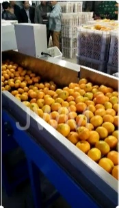 Máquina automática de classificação de frutas maçã abacate limão laranja pêssego classificador