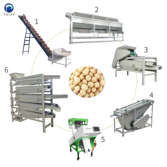 Máquina de quebrar nozes de macadâmia Máquina de quebrar nozes de pistache